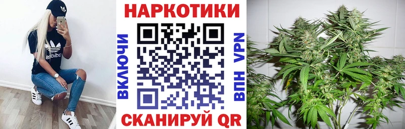Купить наркоту Чернушка Cocaine  Псилоцибиновые грибы  МЕТАМФЕТАМИН  ГАШИШ  Амфетамин  Каннабис 