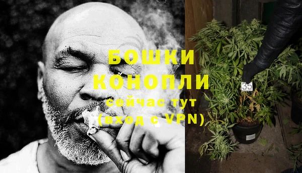альфа пвп Медвежьегорск