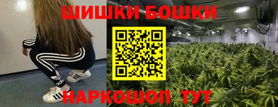 прущие грибы Кимры