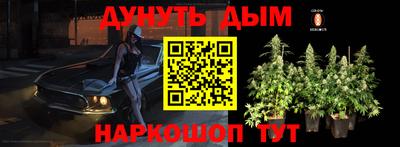 меф Кингисепп