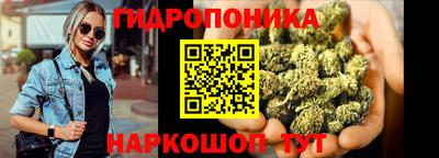 меф Кингисепп