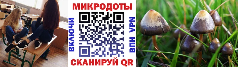 мориарти как зайти  Чернушка  Псилоцибиновые грибы GOLDEN TEACHER 