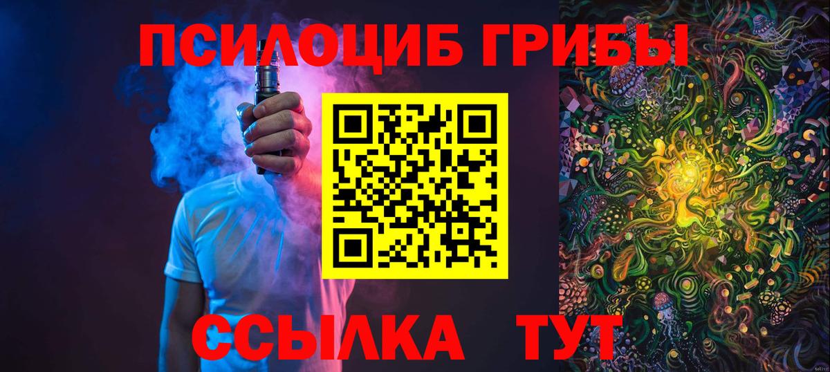 Псилоцибиновые грибы Psilocybine cubensis  Вход с VPN  Чернушка 