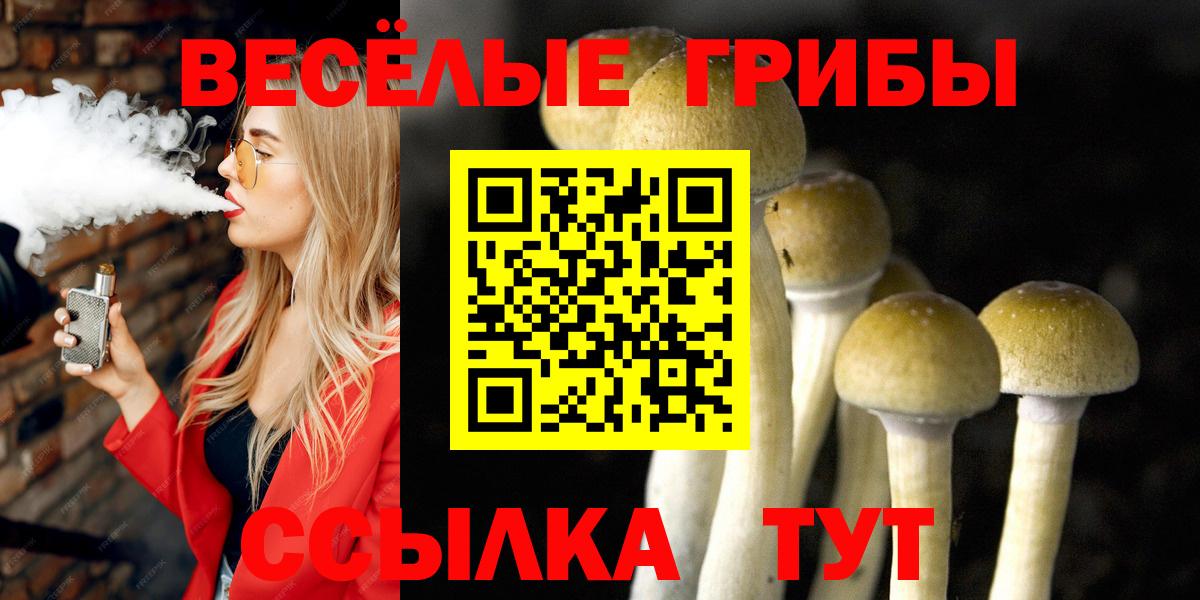 Псилоцибиновые грибы Magic Shrooms Чернушка