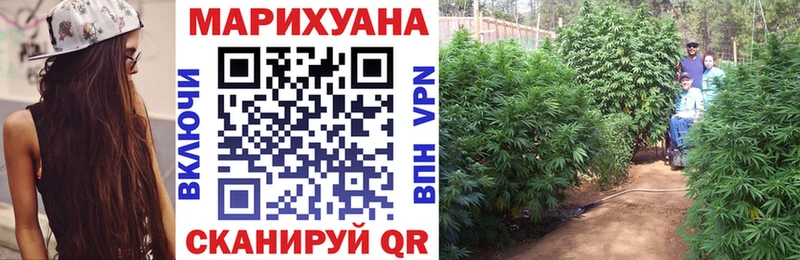 Конопля индика Чернушка